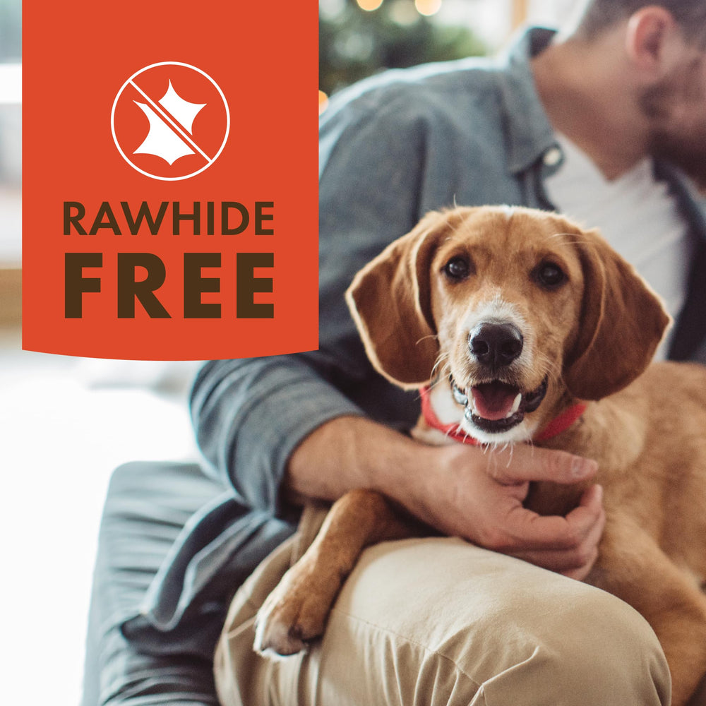 Pur Luv K9 Kraves proteines-elevees : apport en proteines pour soutenir lenergie du chien