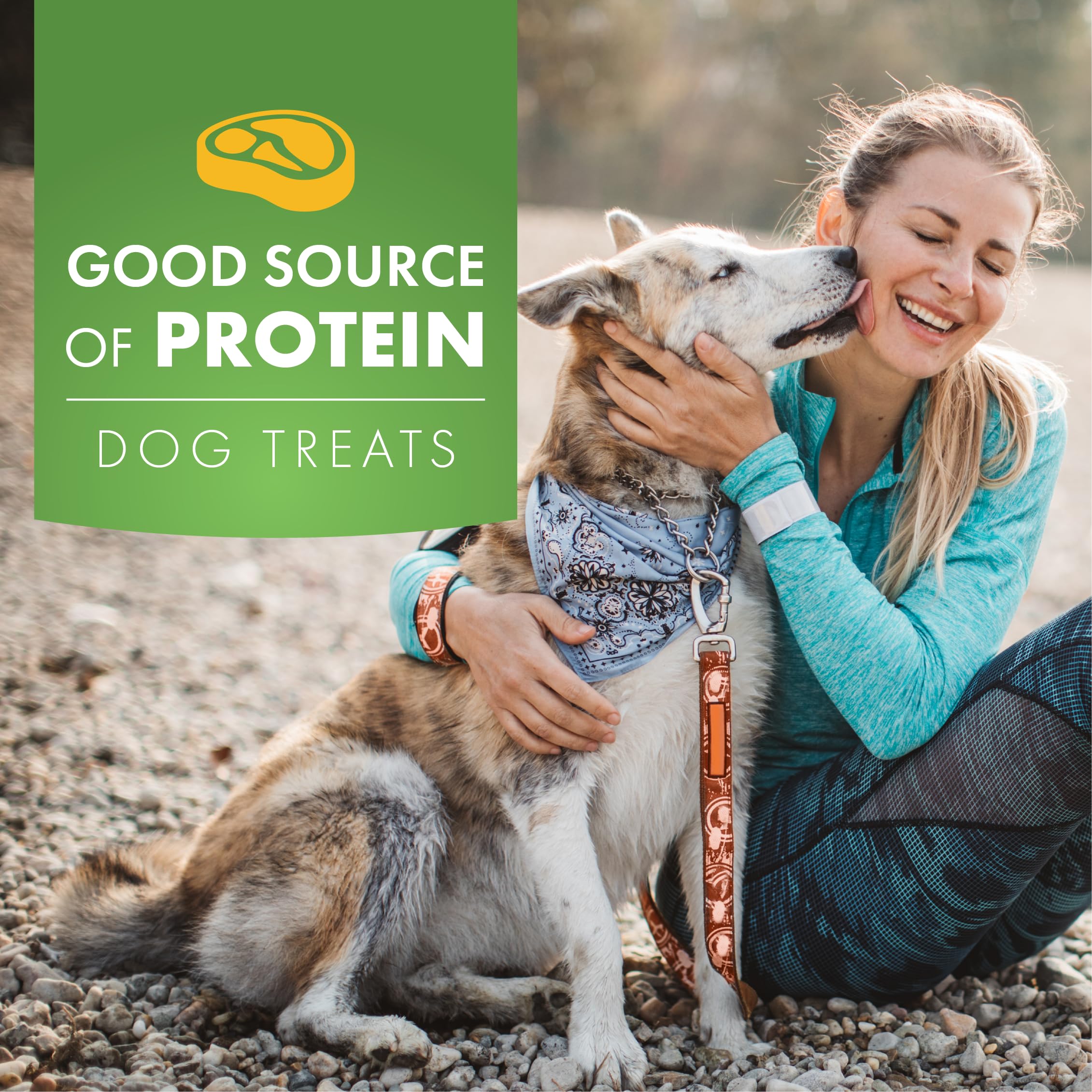 Pur Luv Snack chien longue durée — divertissement et satiété.
