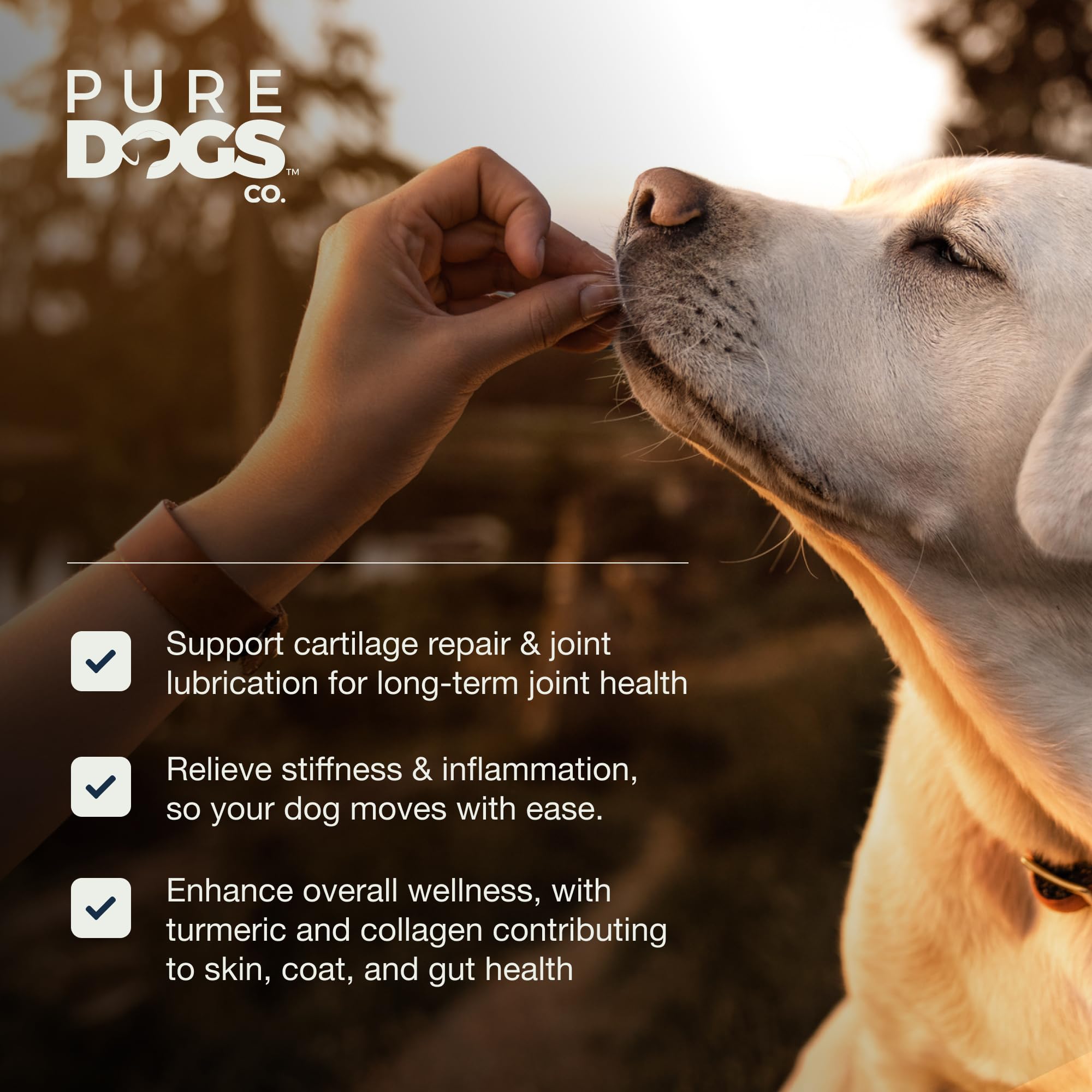 PURE DOGS CO. apoyo digestivo con colágeno para estómagos sensibles.