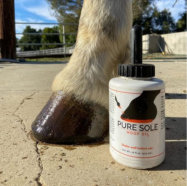 Pure Sole Aceite de Casco: ideal para uso diario entre herrados.
