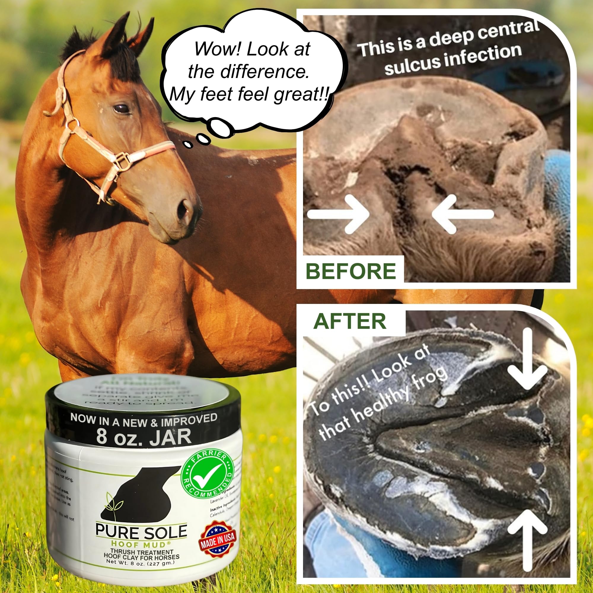 Pure Sole Hoof Mud se aplica en surco central para protección focal del casco.