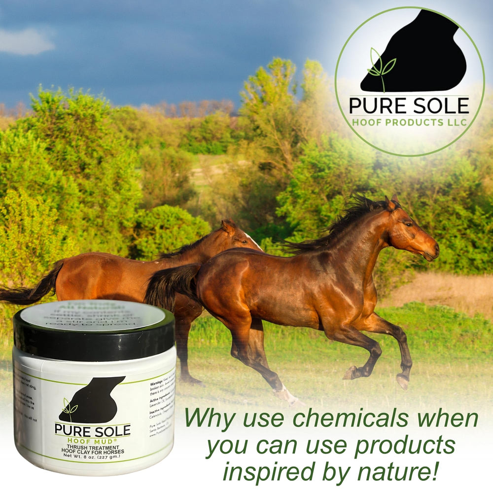 Pure Sole Hoof Mud hecho en EE. UU. con fórmula natural.