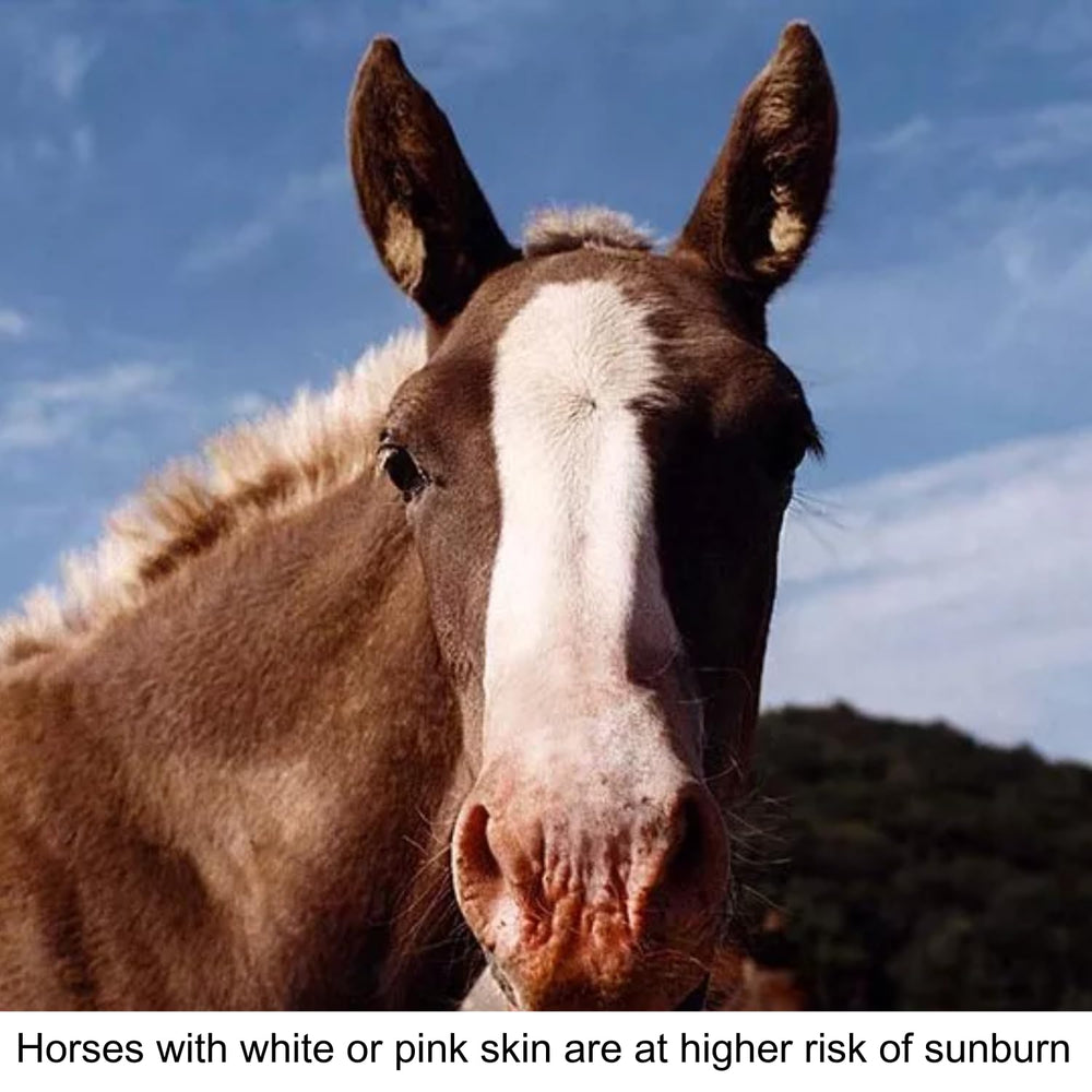 Pure Sole con ingredientes naturales para la piel blanca del caballo