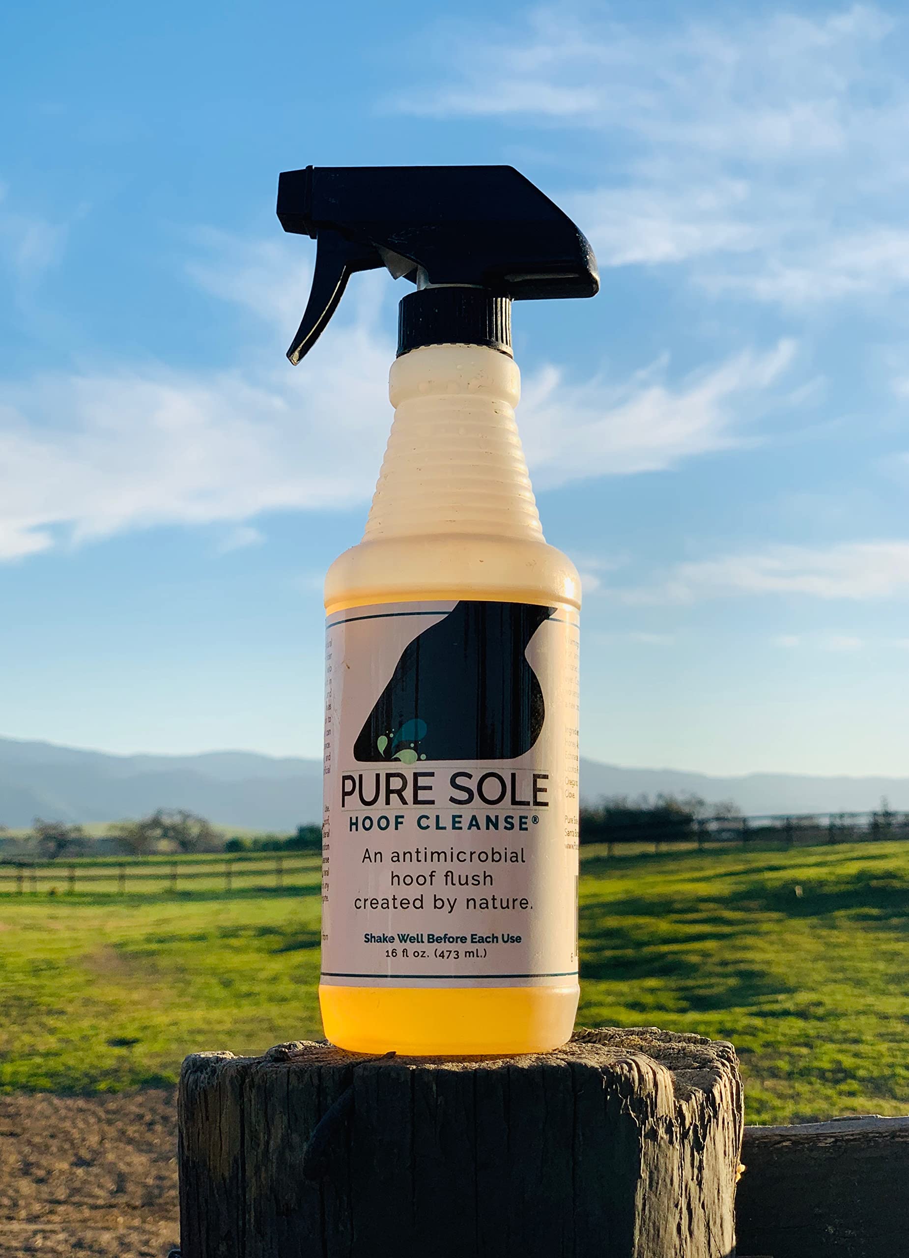Pure Sole: ingredientes naturales como miel cruda y vinagre de manzana.