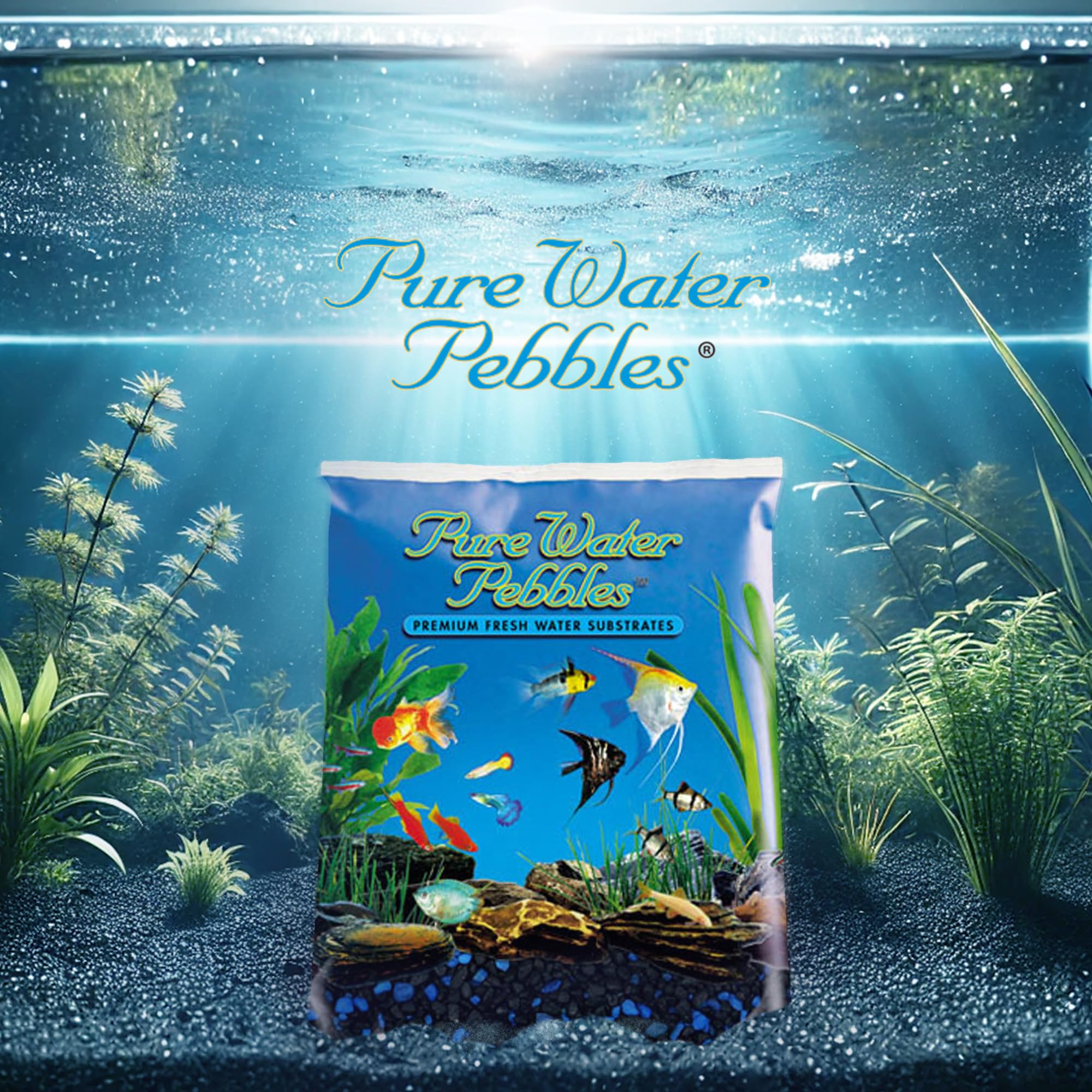Pure Water Pebbles gravilla para terrarios, aporta tono oscuro y textura natural.