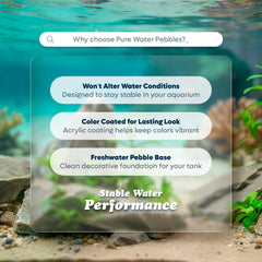 Pure Water Pebbles Lasernite Glo uso ideal para terrarios decorativos.