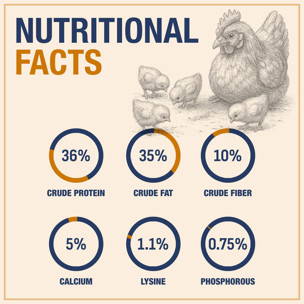 PureGrubs: textura crujiente, snack ideal para aves.