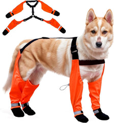 PurrHug botas para perro con suela antideslizante en lluvia.