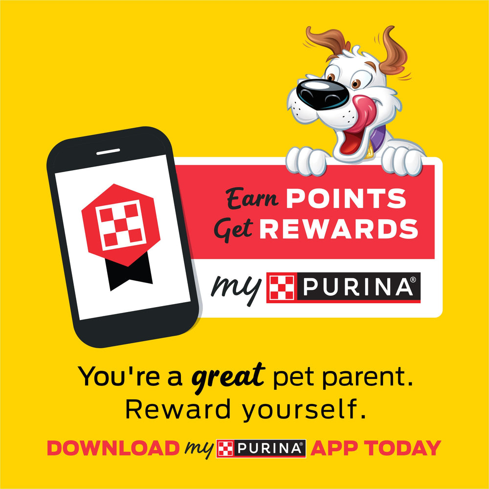 Purina Beggin' Strips sabor doble tocino y res
