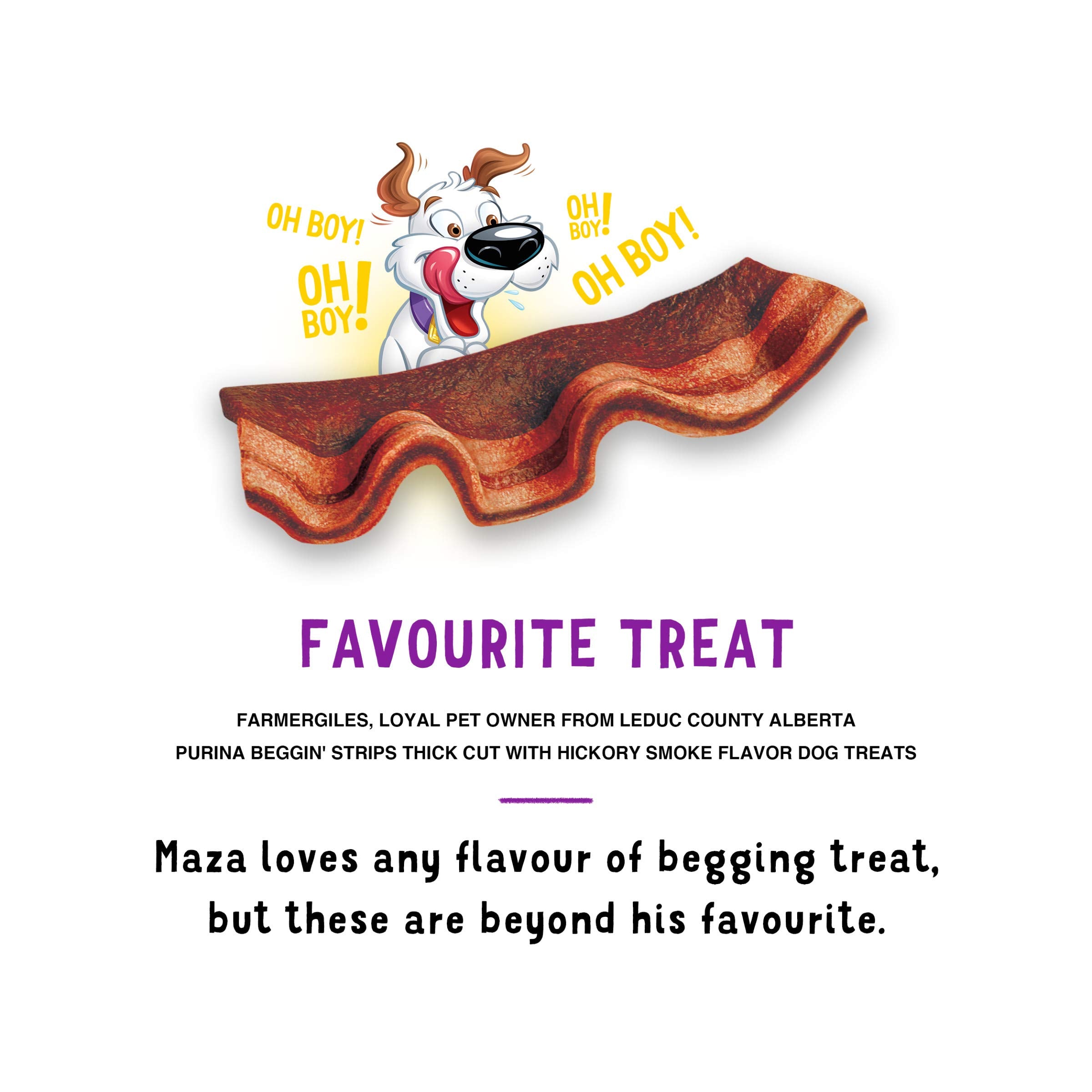 Purina Beggin' Strips: trozos pequeños para premiar en sesiones cortas
