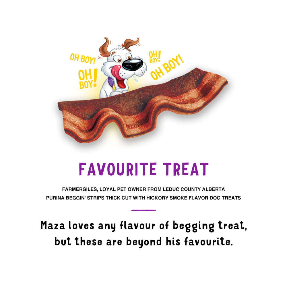 Purina Beggin' Strips: trozos pequeños para premiar en sesiones cortas