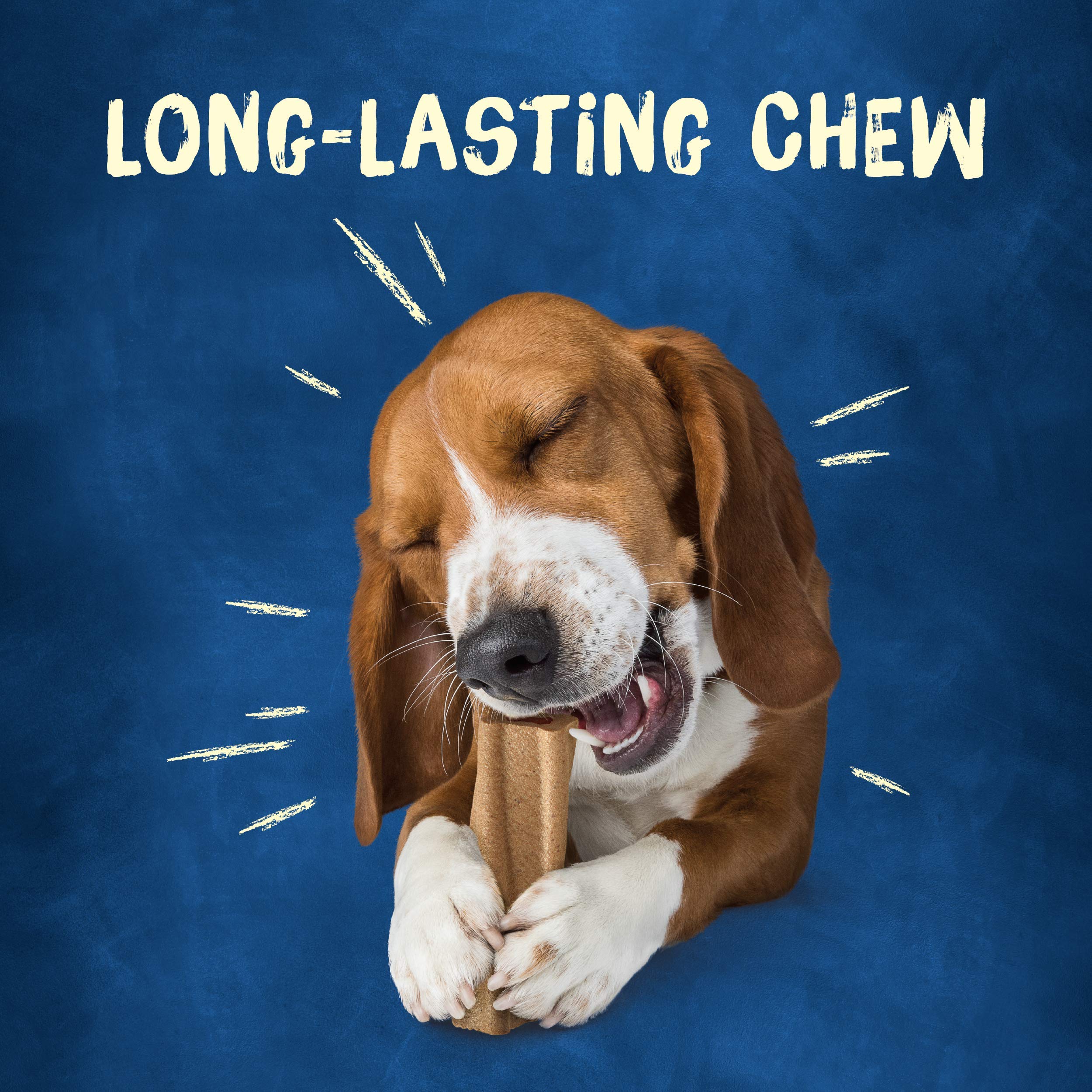 Purina Busy Bone Textura Firme, experiencia de masticación duradera para limpieza dental suave.