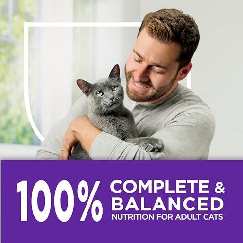 Purina Cat Chow alimentacion diaria adulta suave