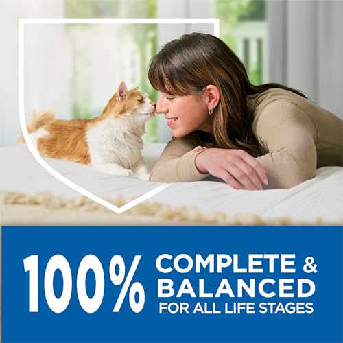 Purina Cat Chow Complete apto para gatos de todas las edades.