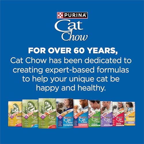 Purina Cat Chow Complete servido en cuenco, comida reconfortante para gatos.