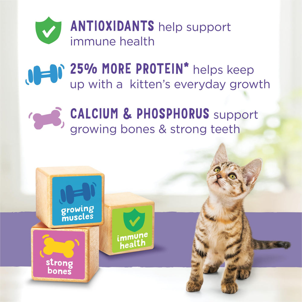 Purina Kitten Chow apoyo diario para movimientos activos.
