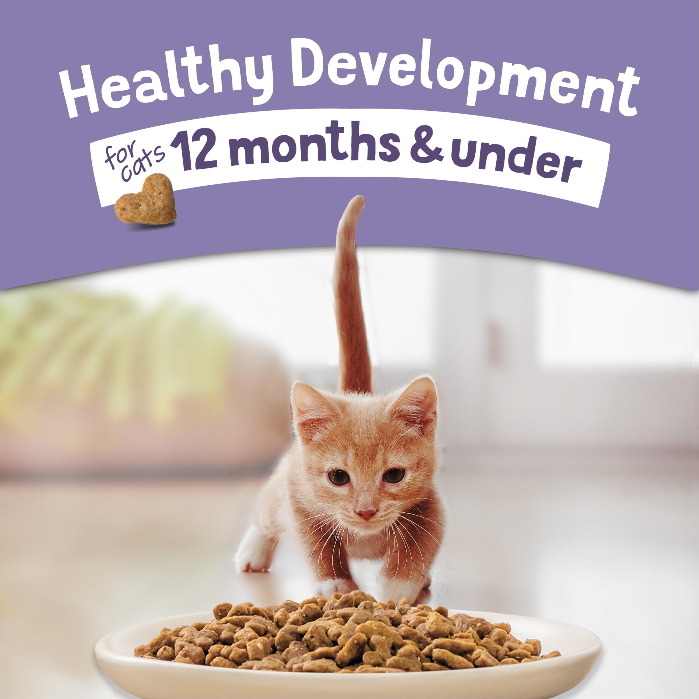 Purina Kitten Chow proteína alta para gatitos activos.