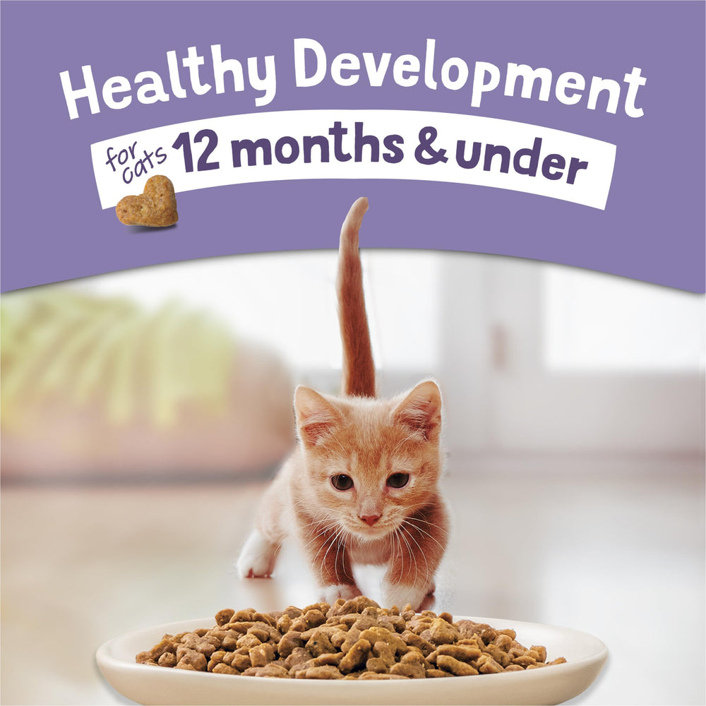 Purina Kitten Chow proteína alta para gatitos activos.