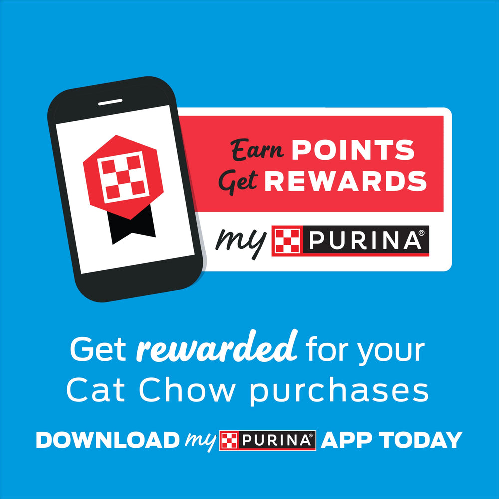 Purina Cat Chow Naturals Indoor, fórmula sin colorantes ni conservantes artificiales.