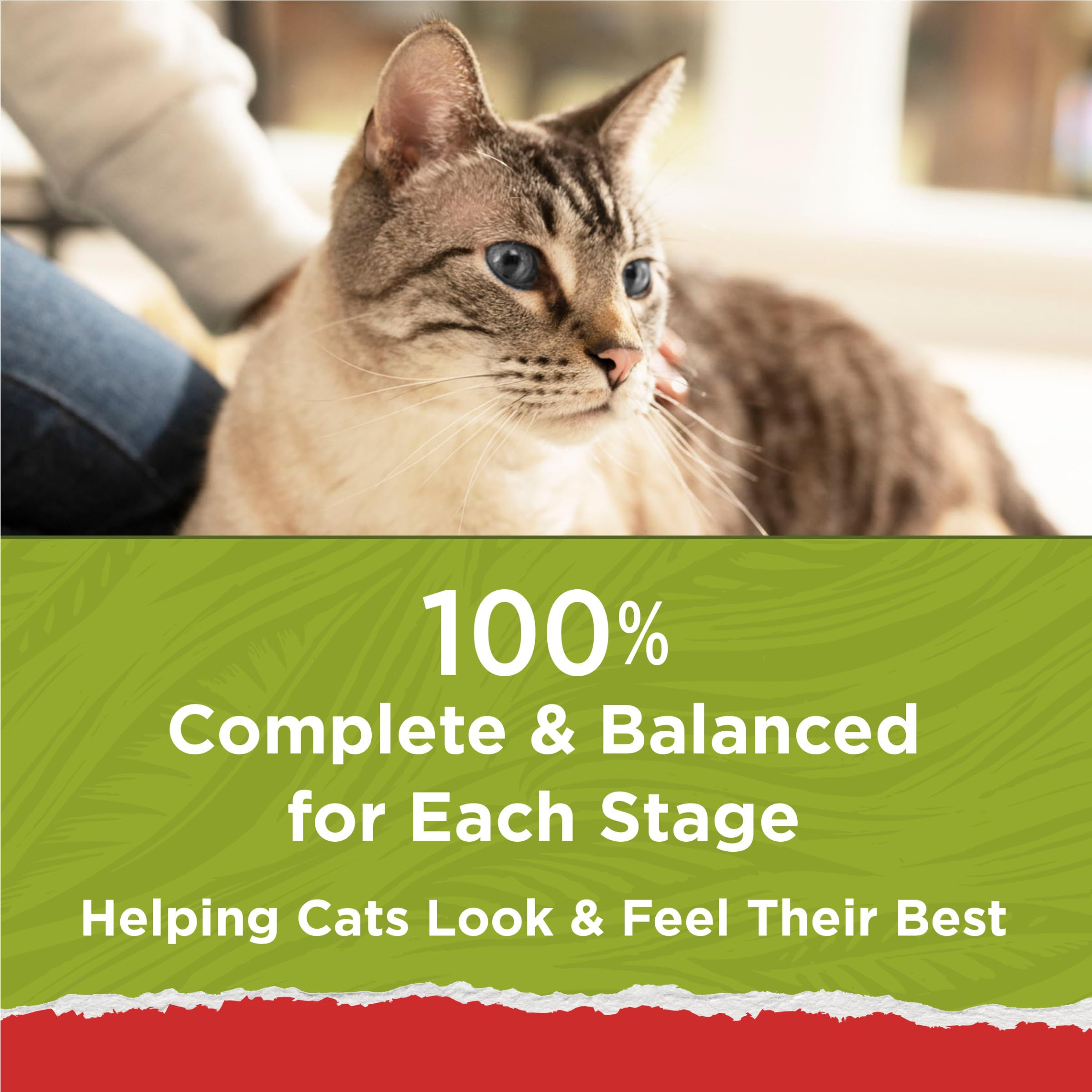 Purina Cat Chow Naturals ácidos grasos omega-6 para piel y pelo