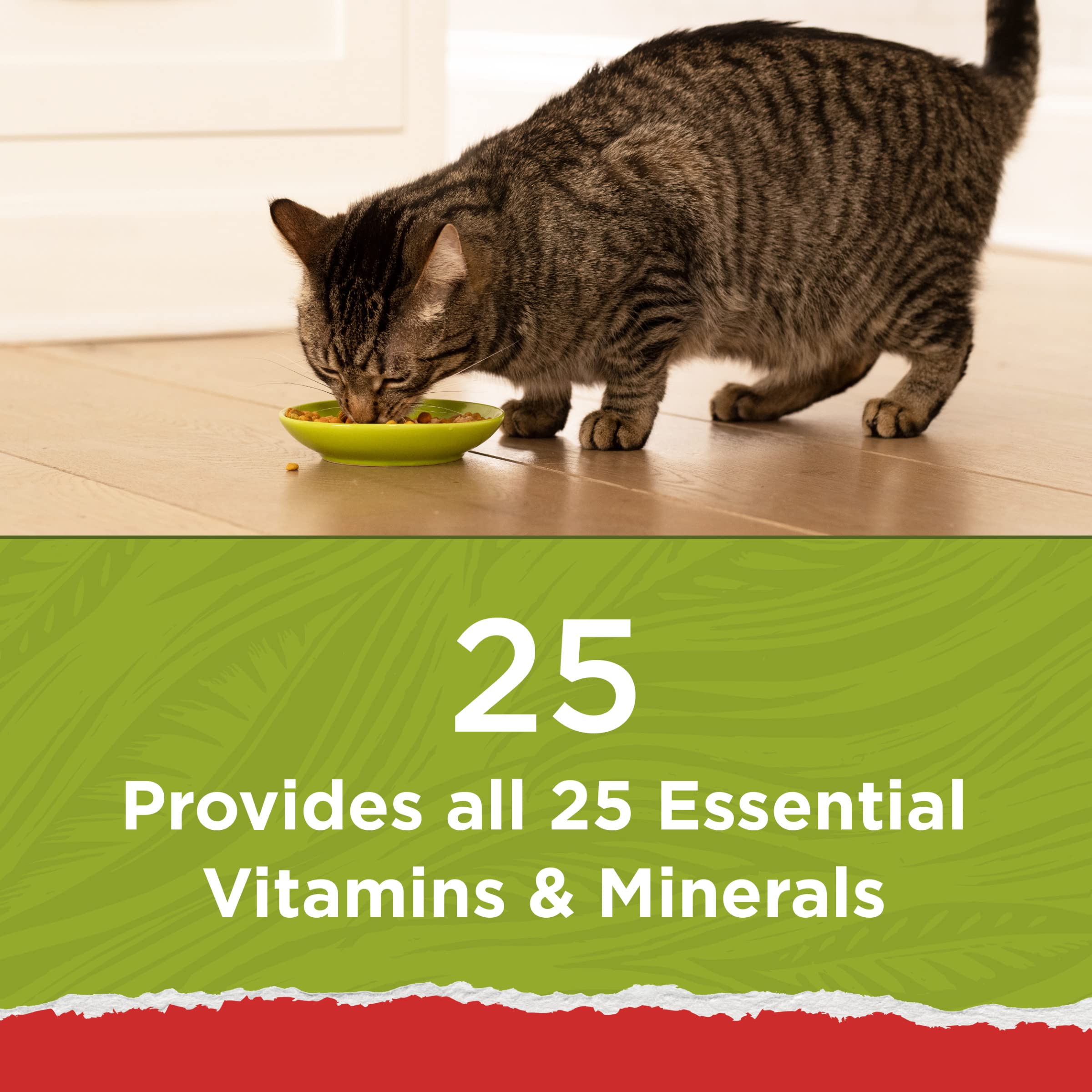 Purina Cat Chow Naturals con salmón real, fuente de Omega 6 para piel y pelo