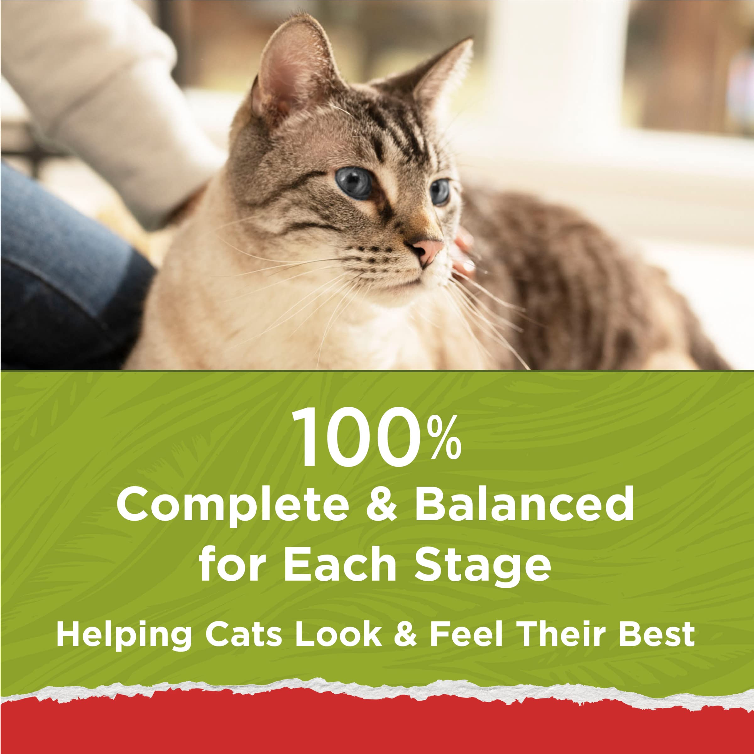 Purina Cat Chow Naturals apto para todas las etapas de vida