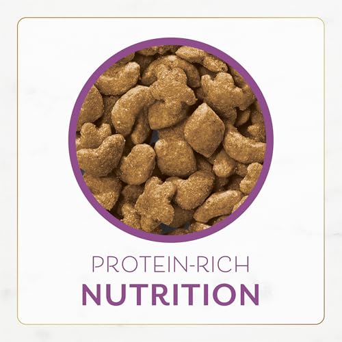Alimentos gourmet para gatos de Purina Fancy Feast