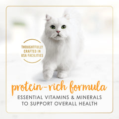 Purina Fancy Feast enlatado con pavo en salsa, complemento completo para la dieta.
