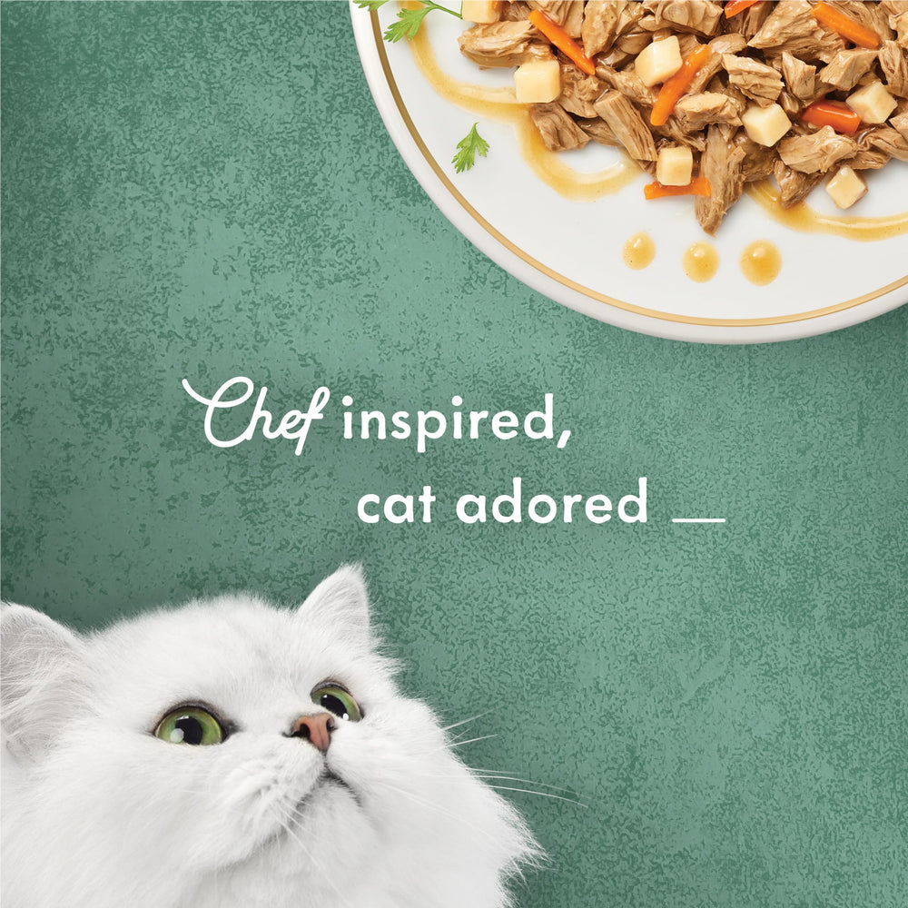 Fancy Feast Medleys textura húmeda, gato disfrutando la comida