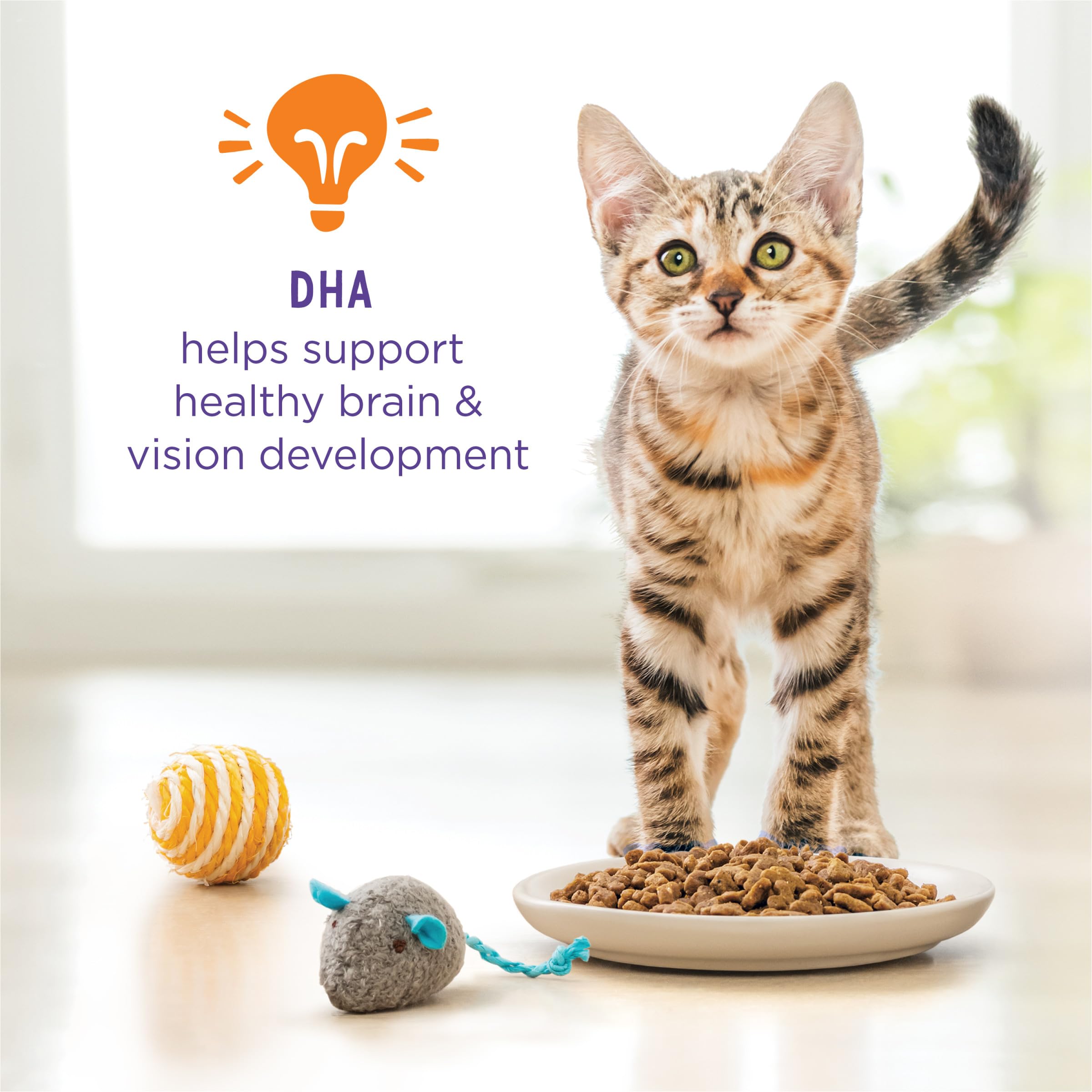 Purina Gatito Chow Nurture: proteína alta para músculos magros.