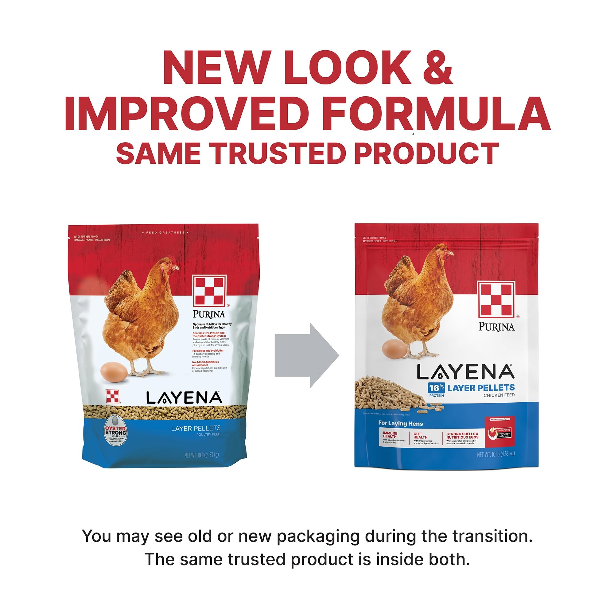 Purina Layena Pellets: gallinas comiendo pellets en comedero, apoyo a la ingesta diaria.