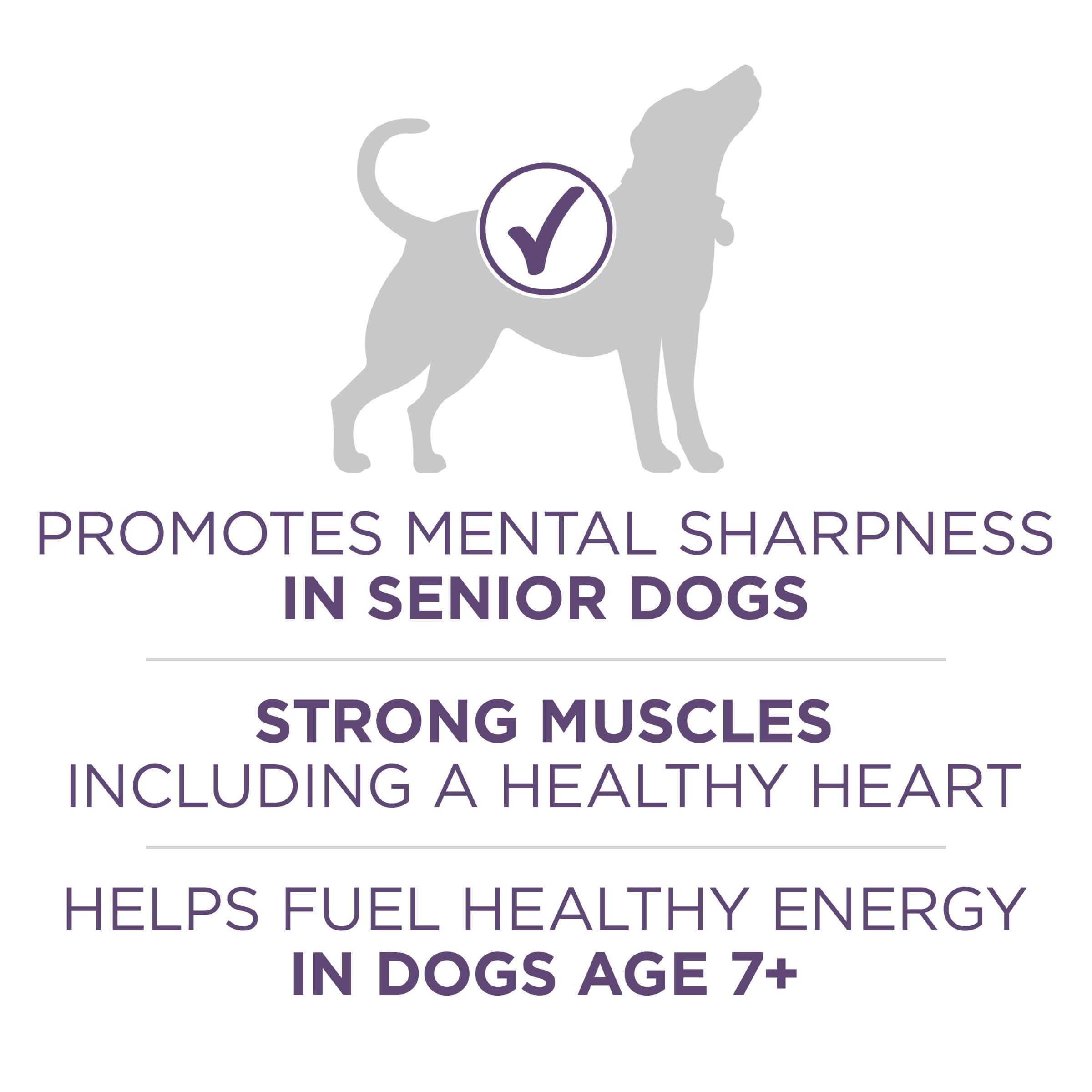 Purina ONE aceite MCT vegetal para energía y claridad mental.