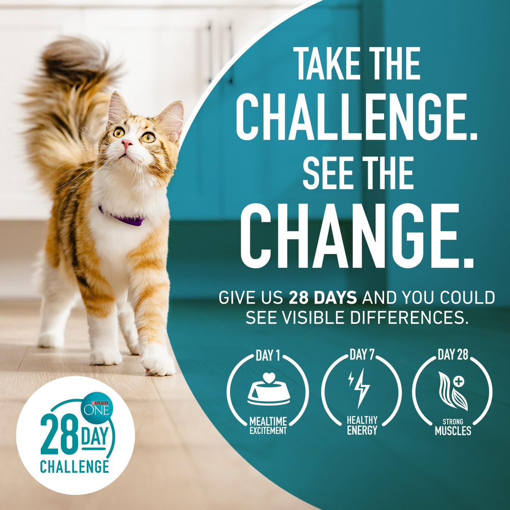 Alimento completo para gatos mayores que viven en interiores Purina ONE