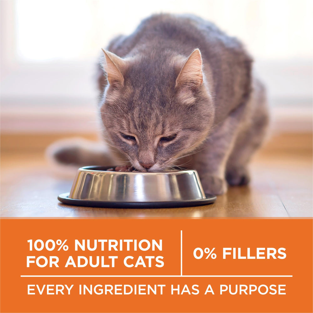 Purina ONE resalta proteína alta para músculos y energía diaria