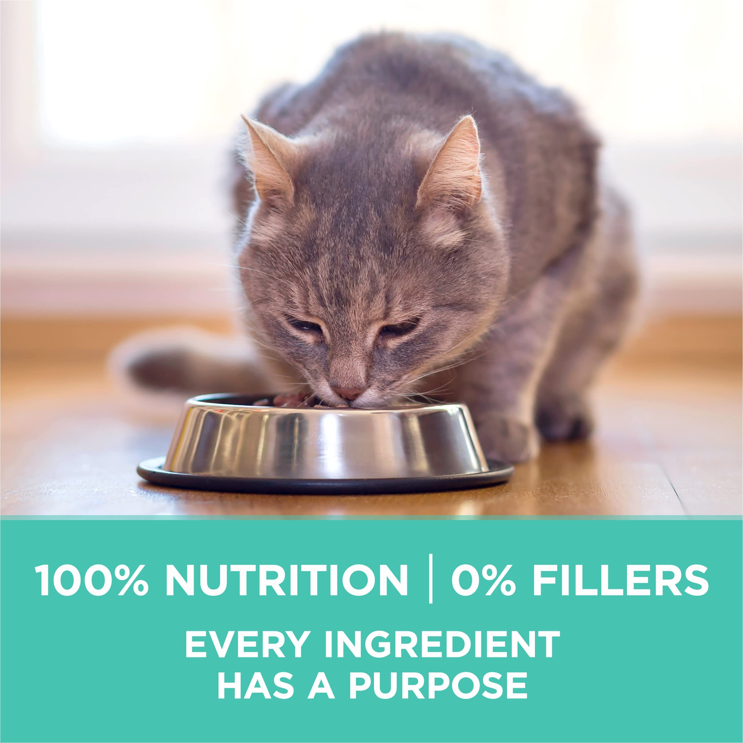 Purina ONE alimento natural para gato adulto.