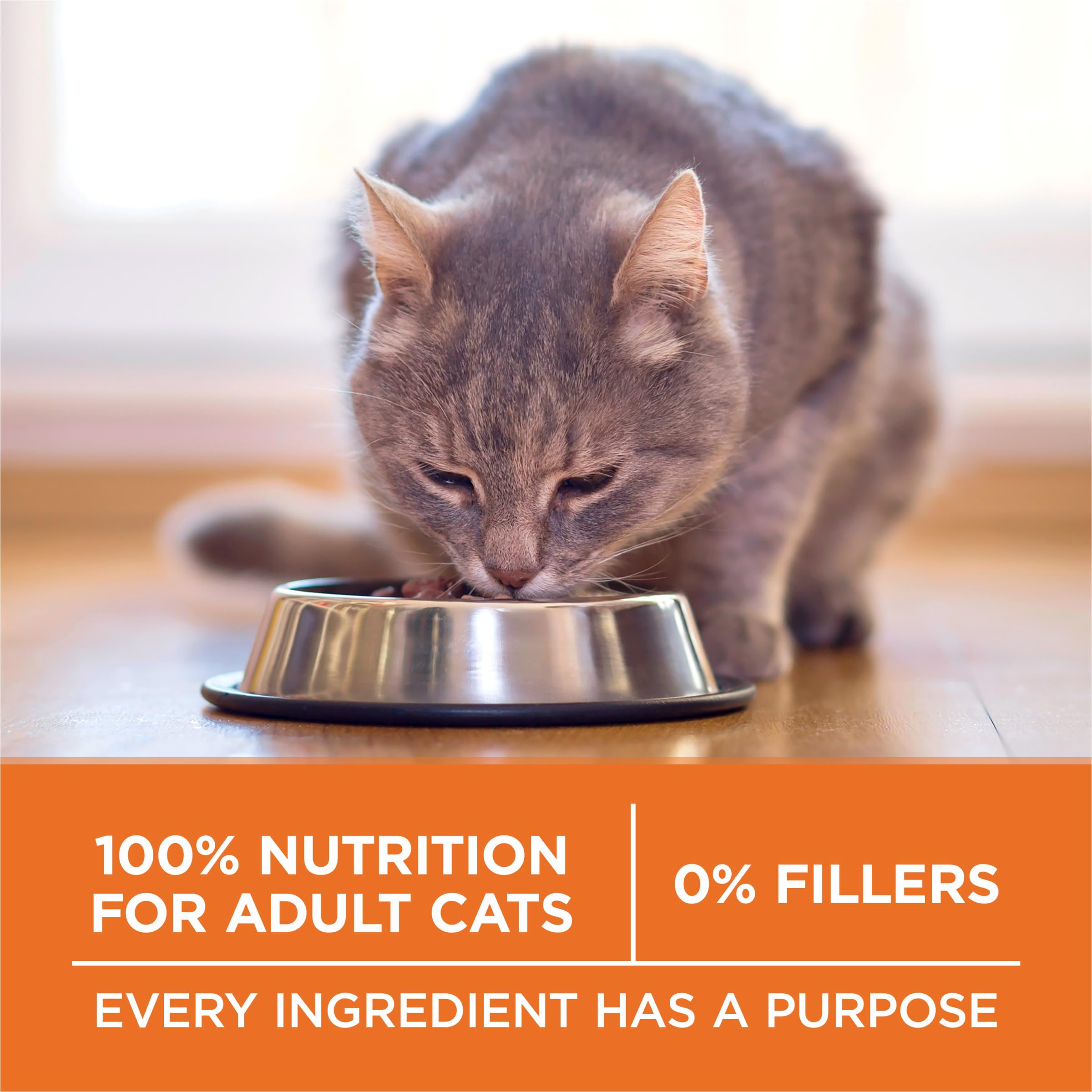 Purina ONE fórmula sin rellenos, enfoque en nutrición clara.
