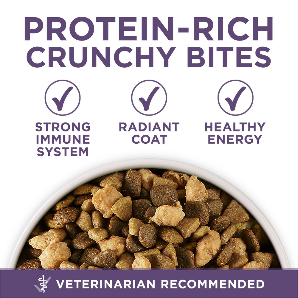 Purina ONE, omega-6 y vitaminas para pelaje brillante y piel sana.