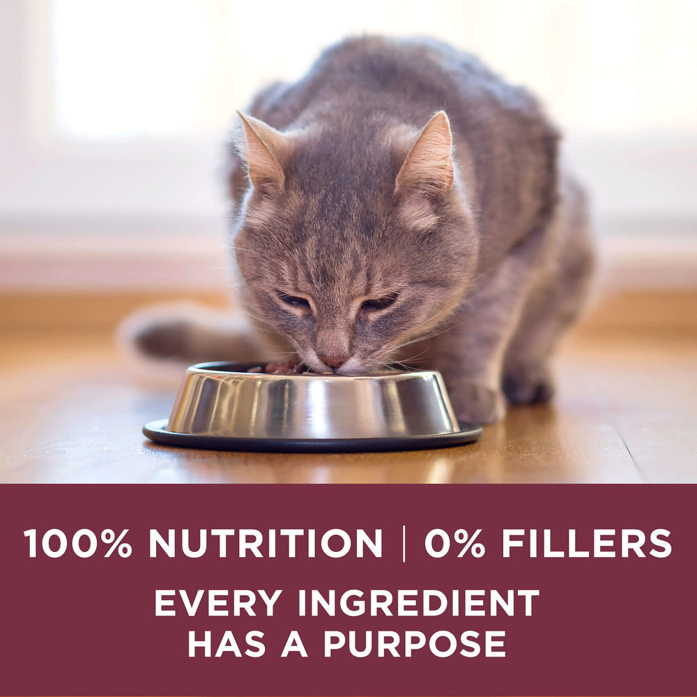 Purina ONE antioxidantes para un sistema inmunológico más robusto.