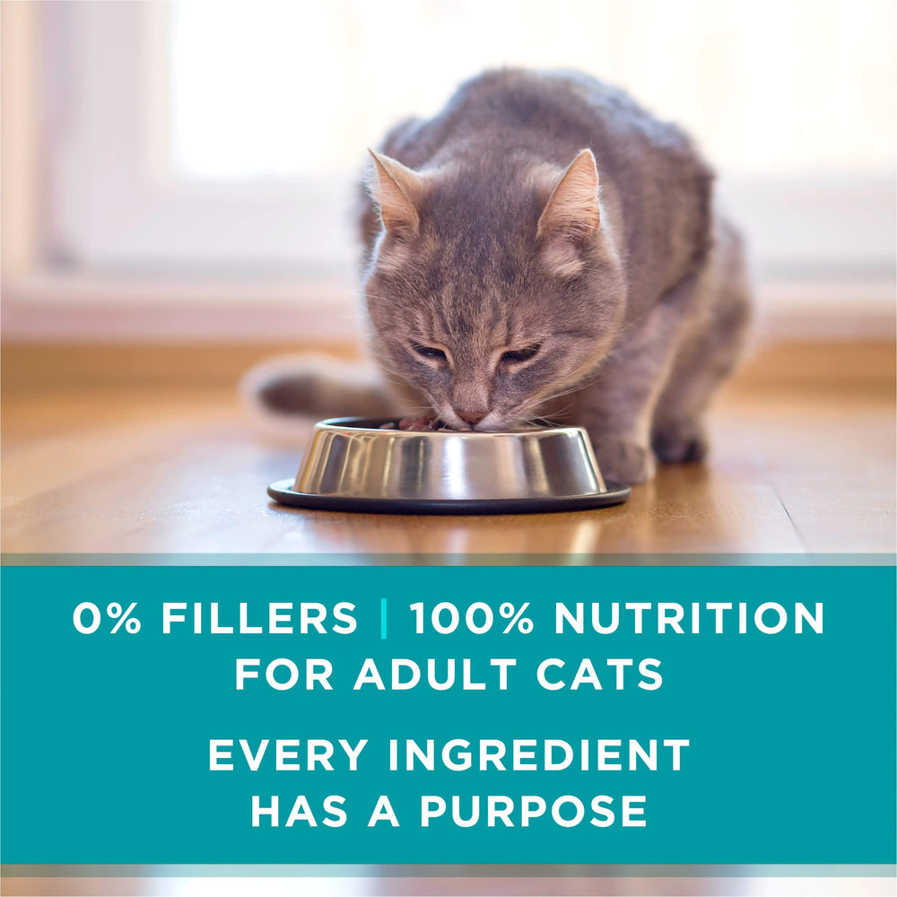 Purina ONE antioxidantes para apoyar la salud inmunitaria de gatos.