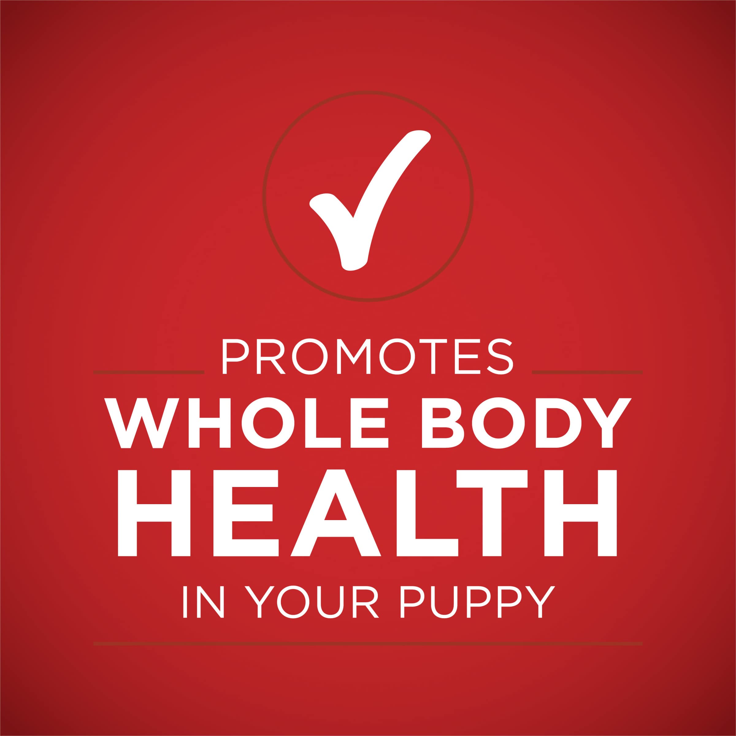 Purina ONE cachorros antioxidantes para inmunidad, lata 13oz
