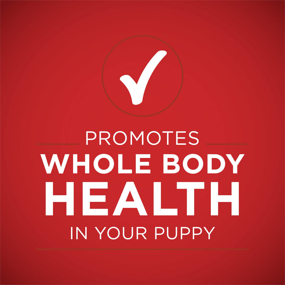 Purina ONE cachorros antioxidantes para inmunidad, lata 13oz