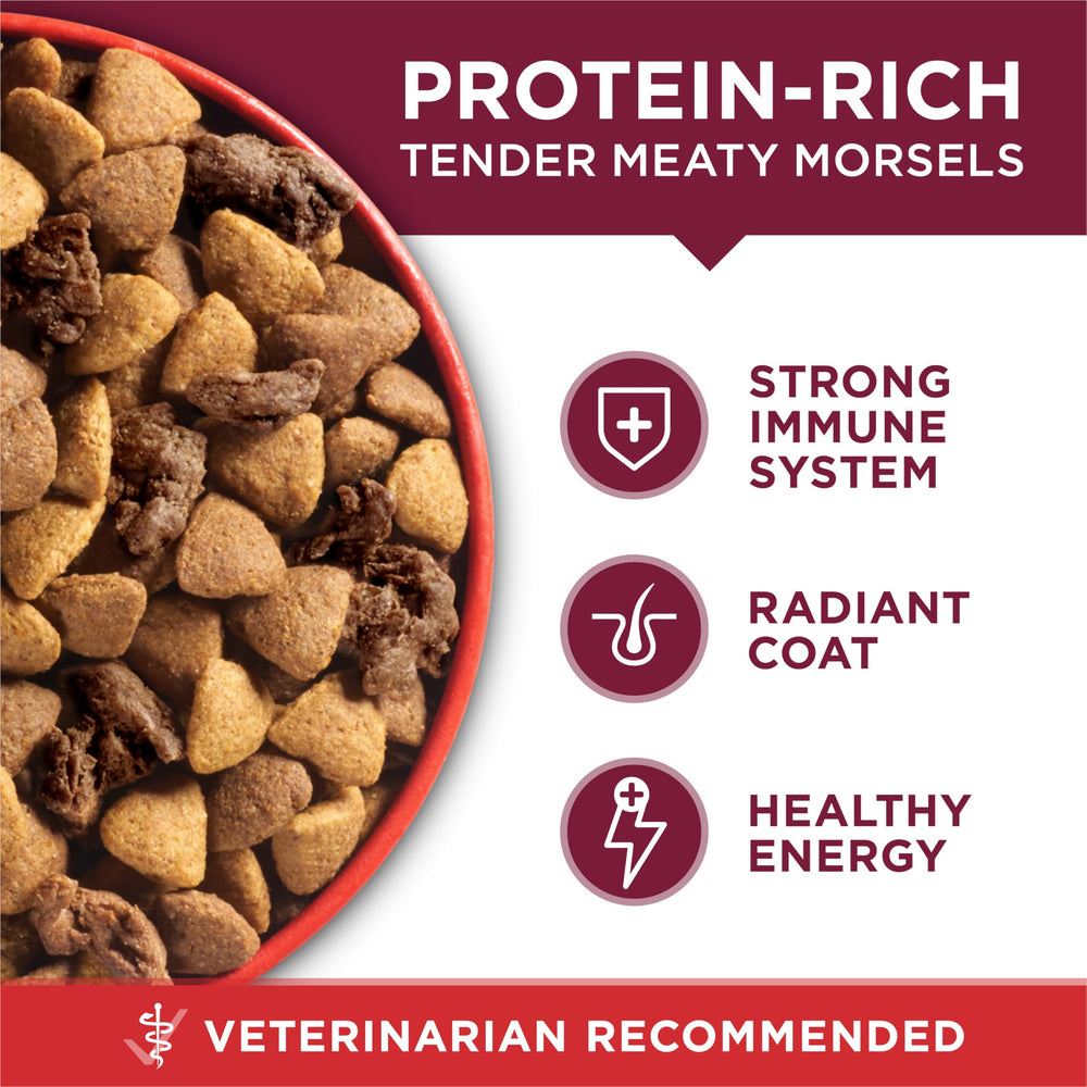Fibra prebiótica en Purina ONE para digestión saludable.