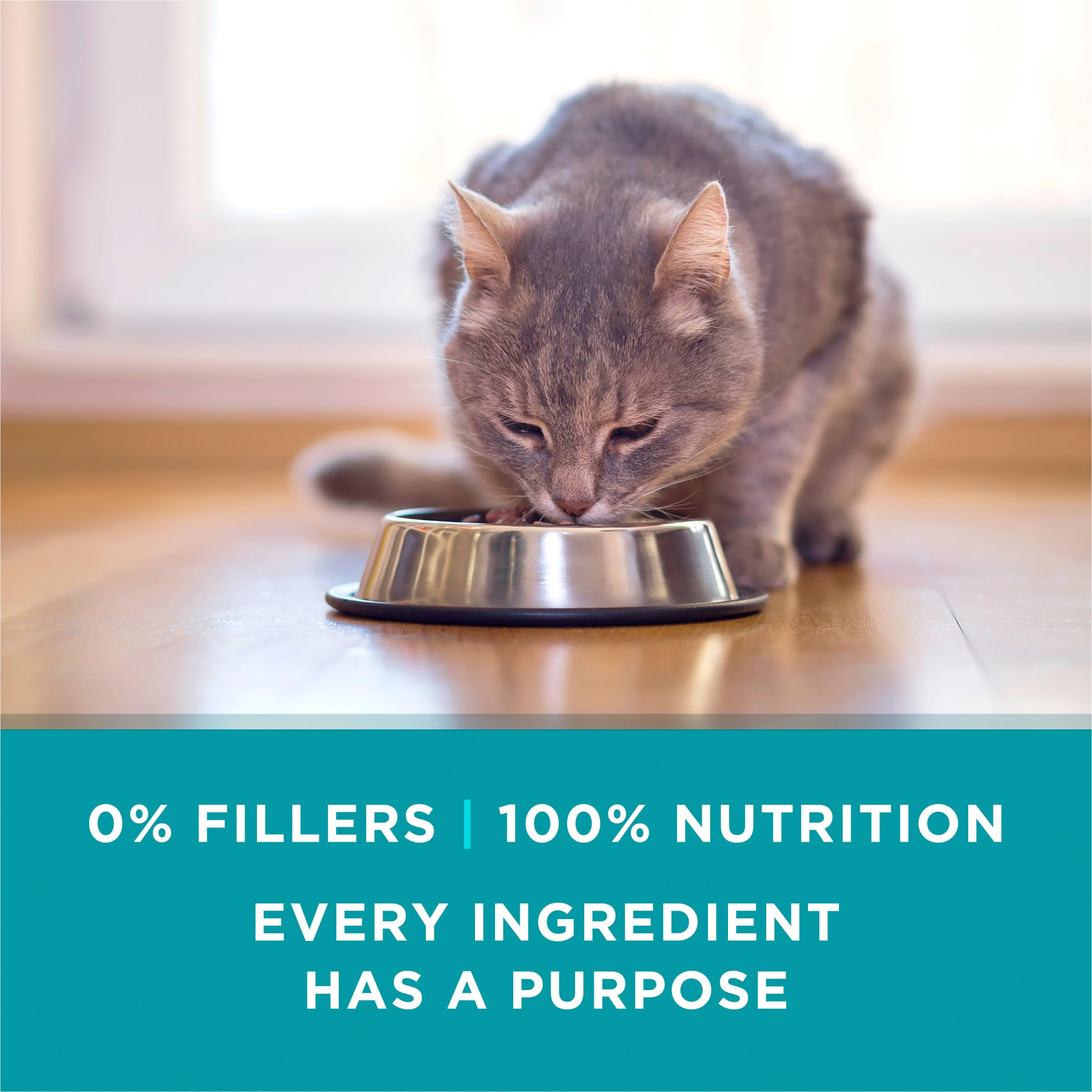 Purina ONE ingredientes naturales con propósito para una dieta equilibrada.