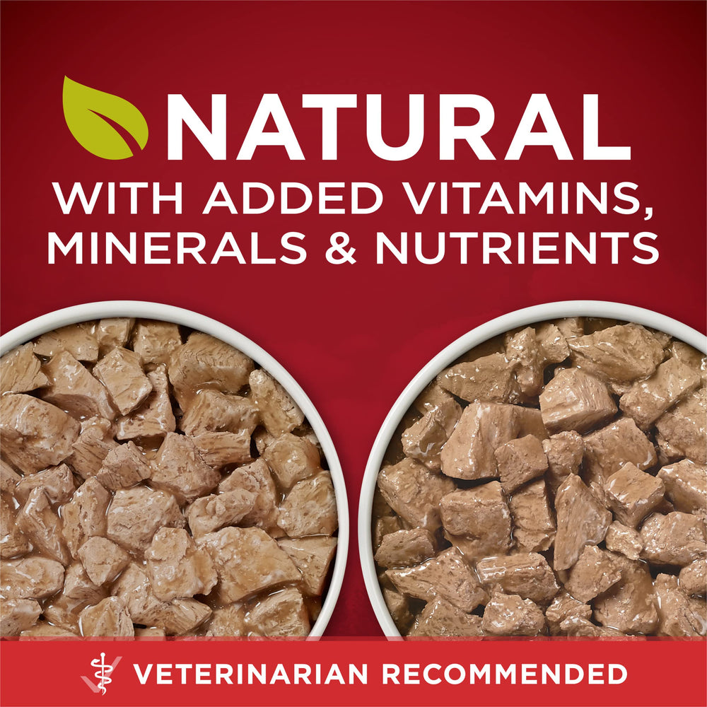 Purina ONE Instinto Verdadero: textura tierna en salsa para perros adultos.
