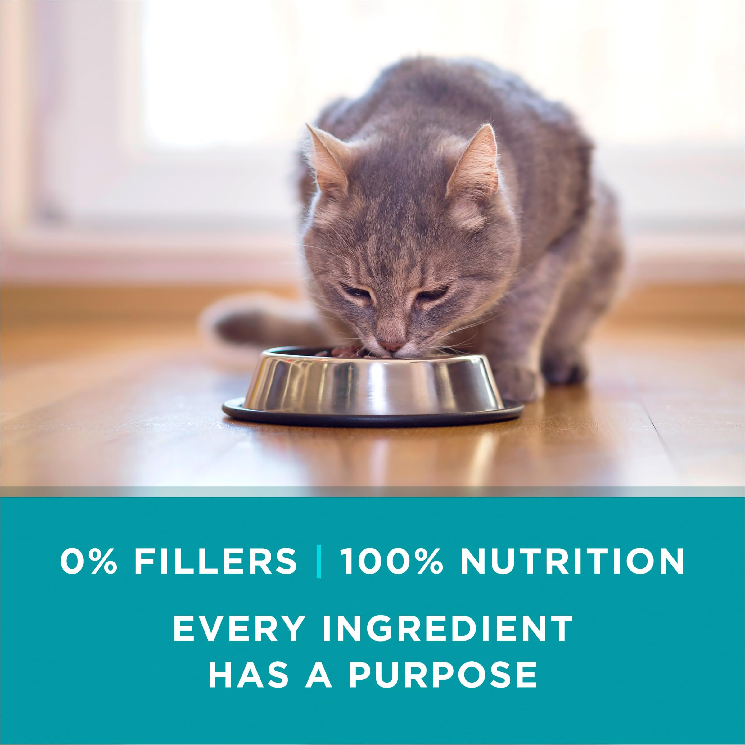 Purina ONE Natural, apoyo a piel y pelaje con nutrientes selectos.