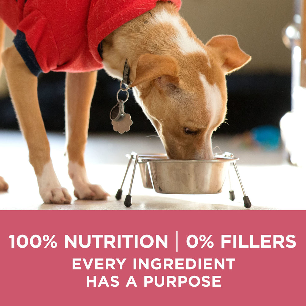 Purina ONE Natural +Plus, proteína de alta calidad para músculos y bienestar.