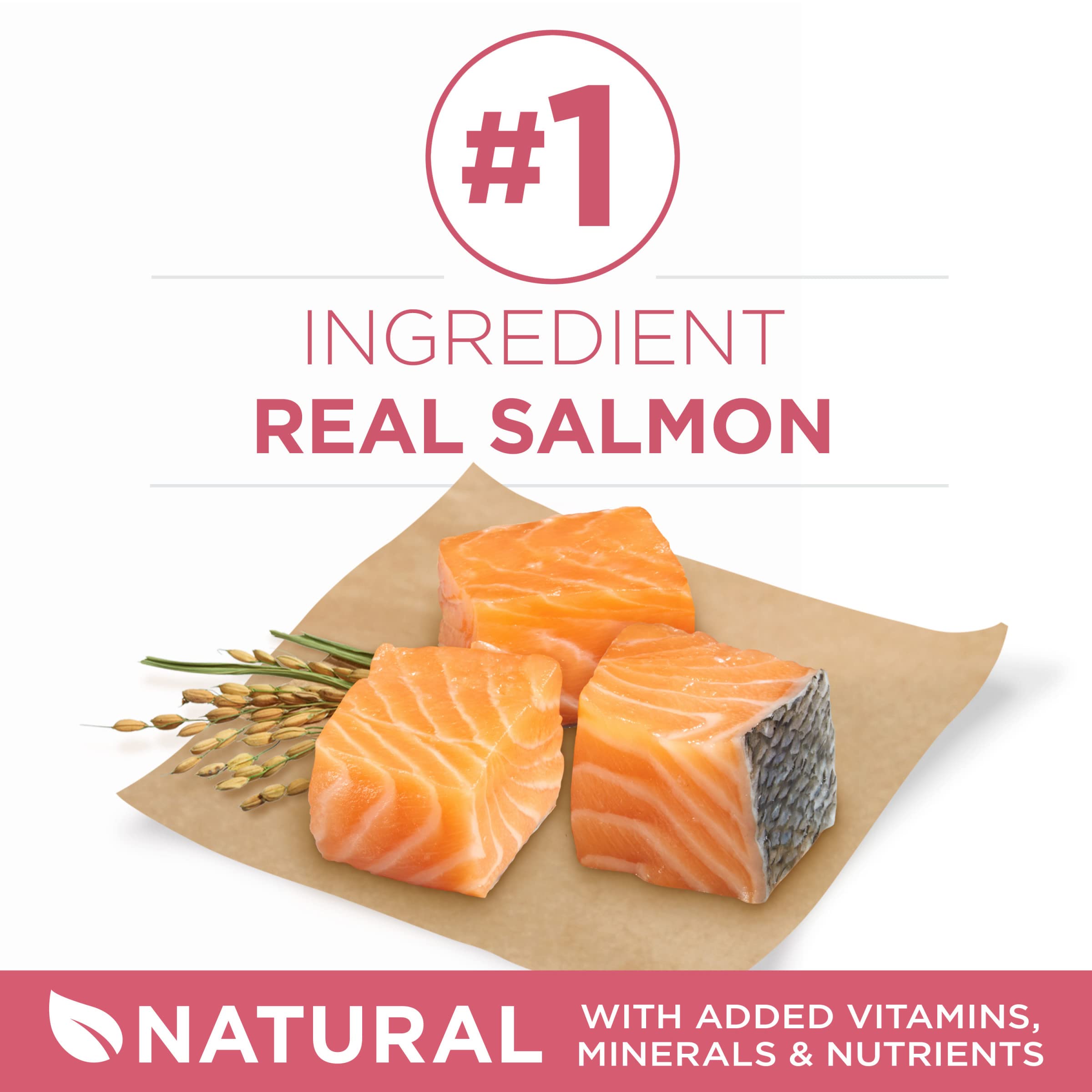 Purina ONE Natural +Plus, salmon como ingrediente principal en croquetas para pelaje saludable.