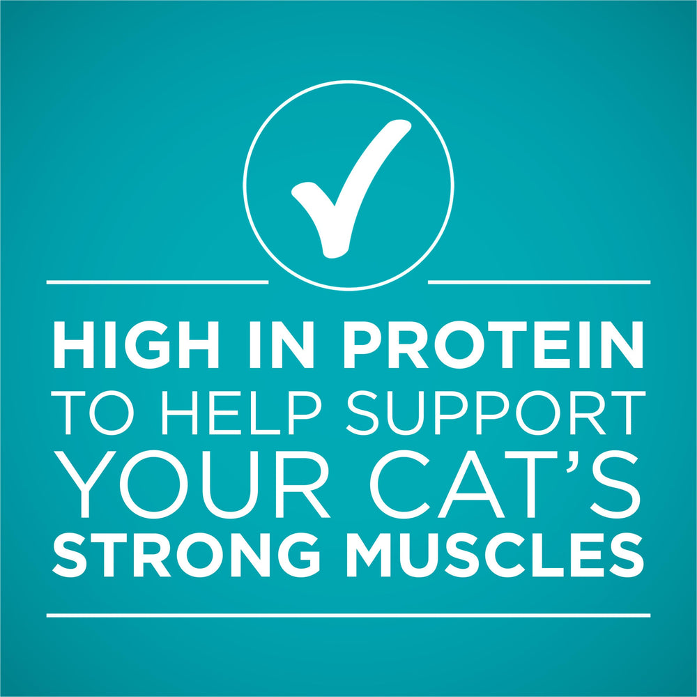 Purina ONE Natural, vitaminas y minerales añadidos, apoyo para la vitalidad diaria.