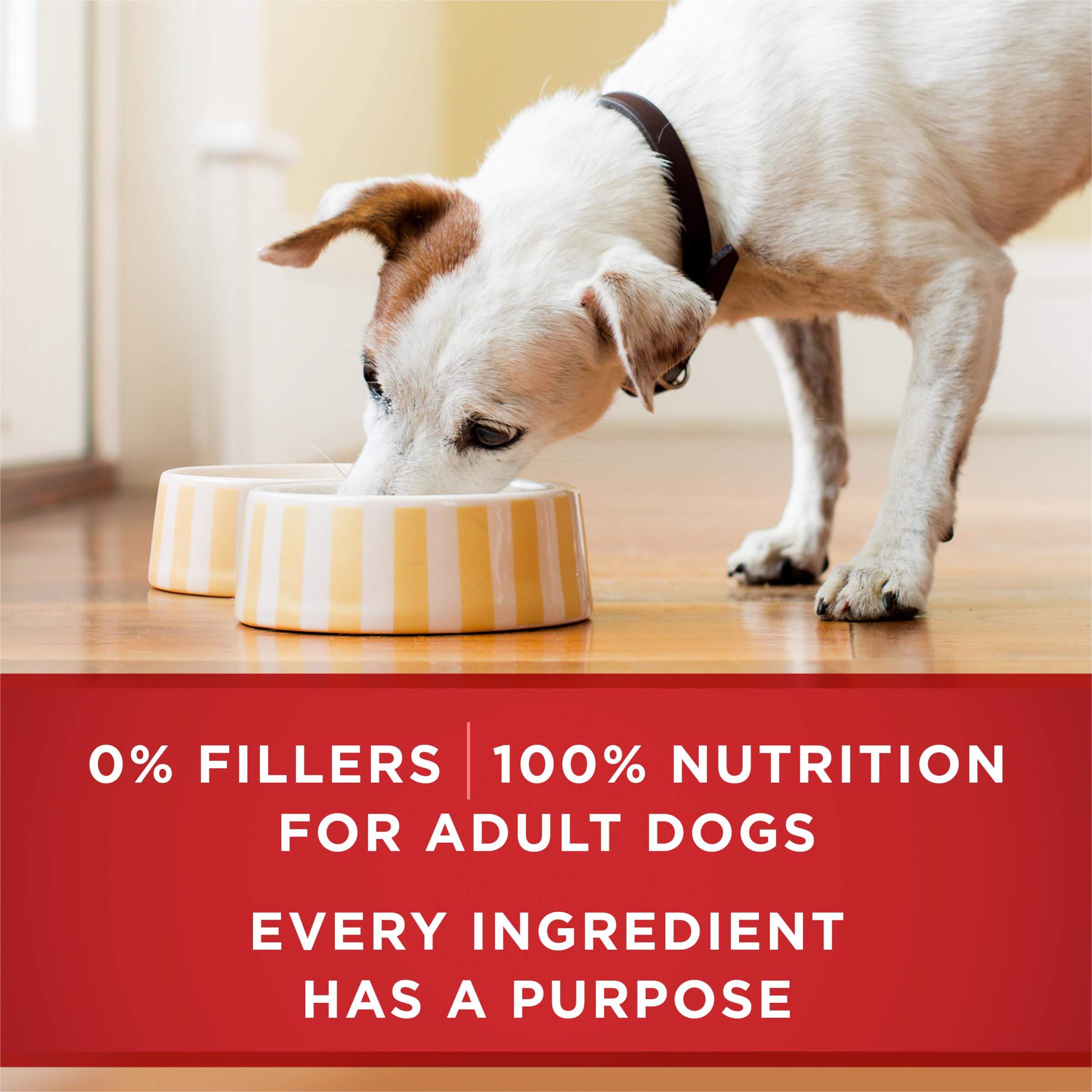 Purina ONE nutrición completa para perros adultos.