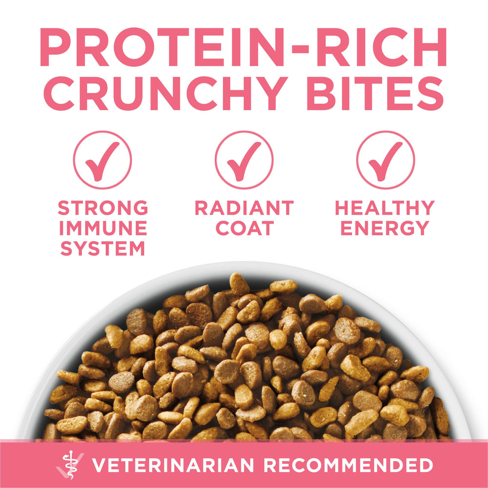 Purina One nutrición completa y equilibrada para gatitos en crecimiento.